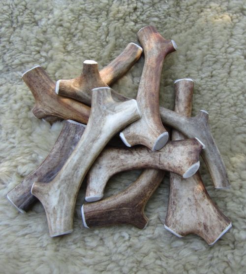 Bild von Chewinghorn 