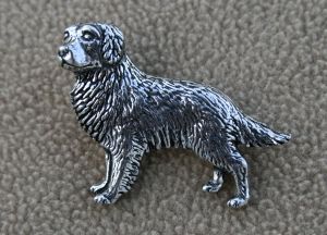 Bild von Golden Retriever