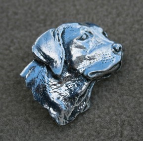 Bild von Labradorkopf