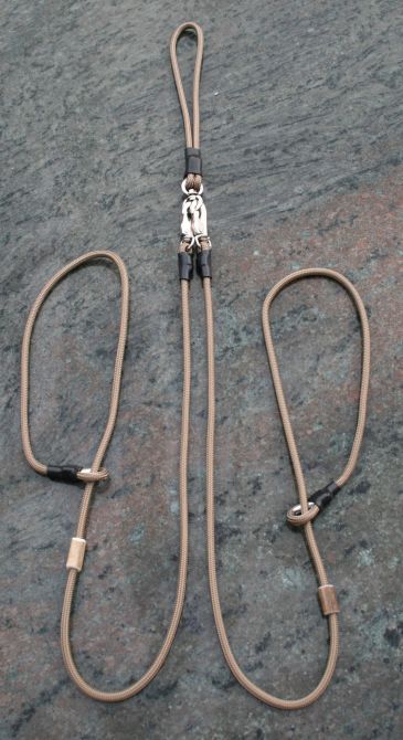 Bild von Moxonleine-Twin