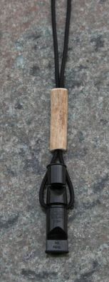 Bild von Acme 641 & Band