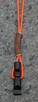 Bild von 641 und Band