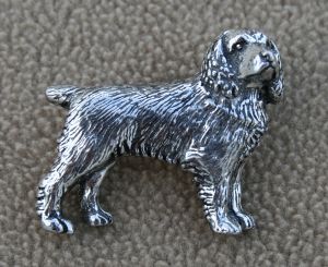 Bild von Spaniel