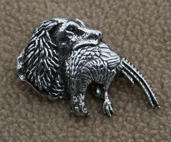 Bild von Spanielkopf